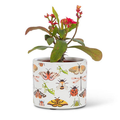 XS Allover Bugs Planter-3"D