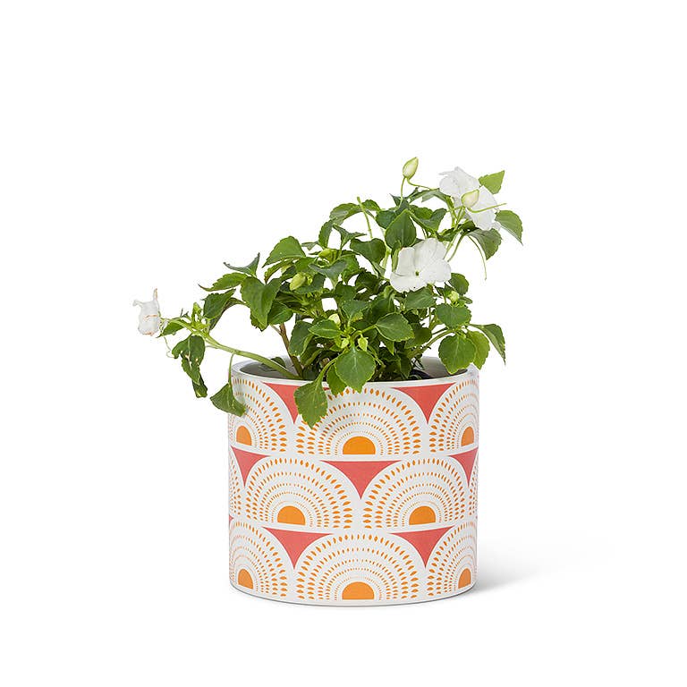 Sm Oasis Arch Planter-4.5" D