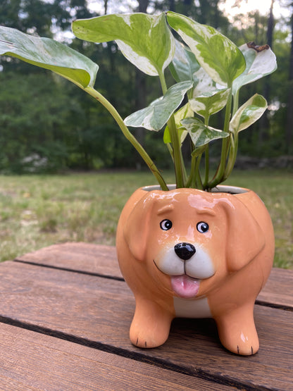 Dog planter