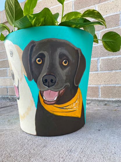 Custom Painted Pot