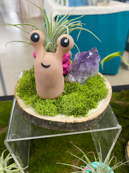 Handmade Clay Snail with Air Plant