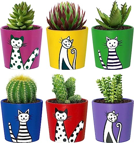 Painted Cat Pots