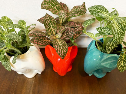 Elephant Planters