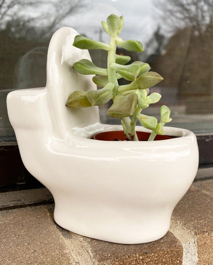 Potty Pot