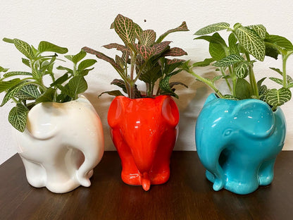 Elephant Planters