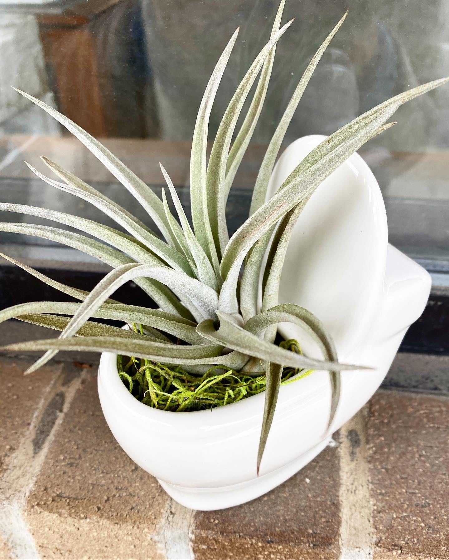potty the potted plant Potty Pot – Jennifer's Plant Stand