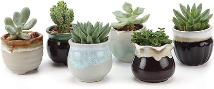 Mini Ceramic Pots